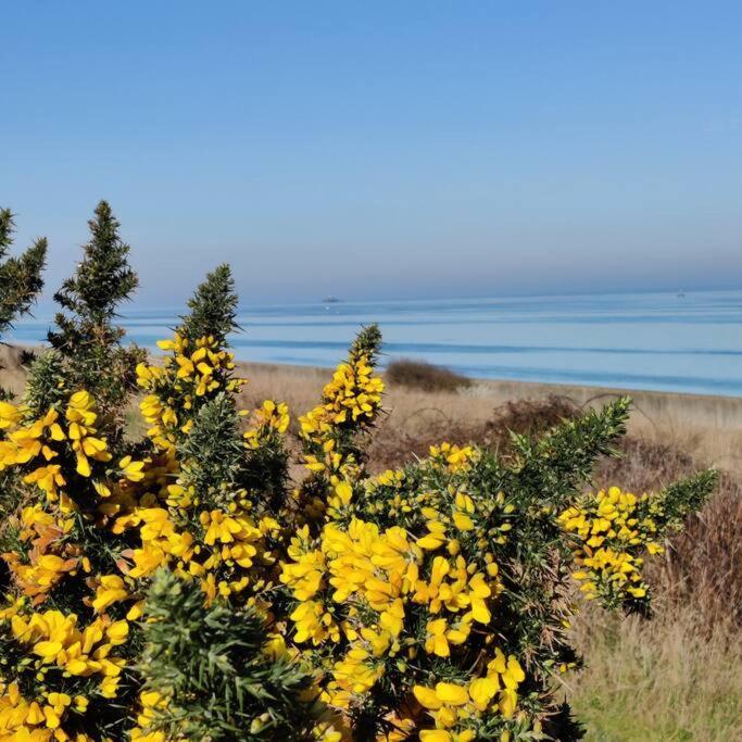 הרן ביי Escape To The Coast In A Luxurious Private Apartment מראה חיצוני תמונה